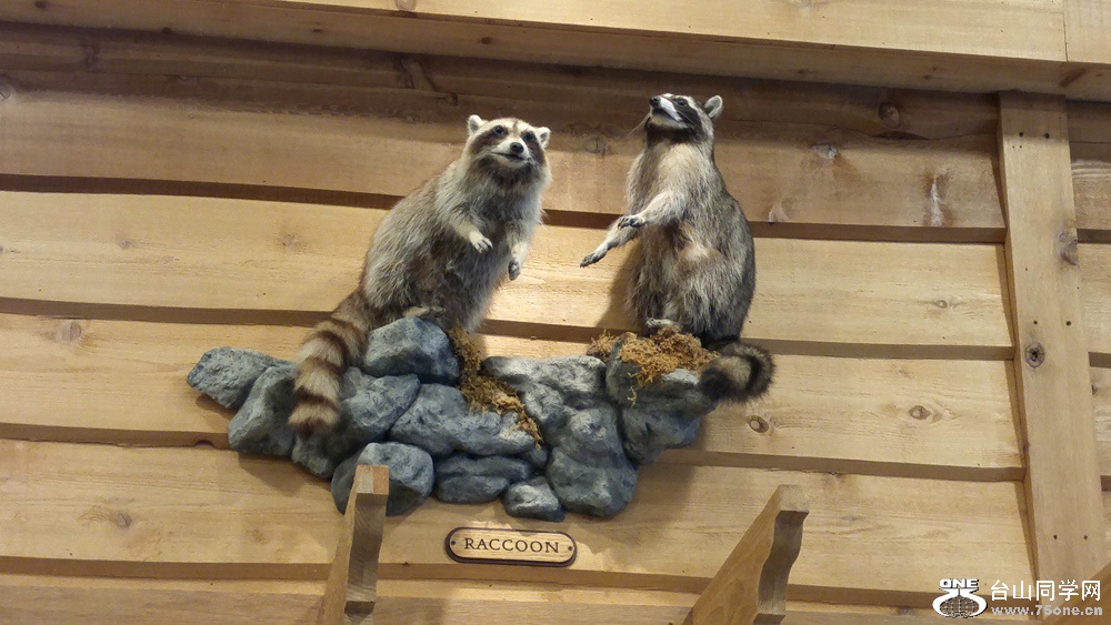 20160902_130133_HDR.jpg