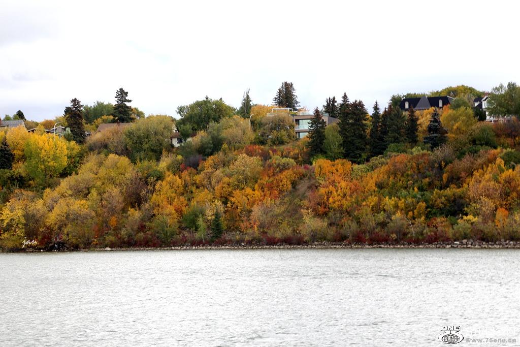 IMG_9688.JPG