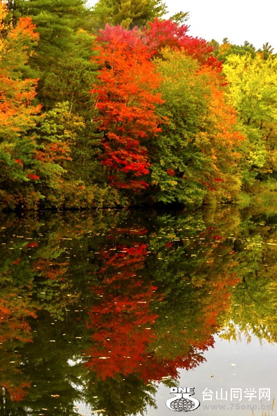 2016_10_08_1012.jpg