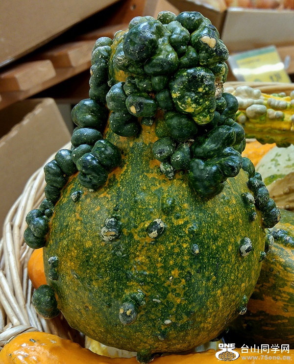 20161106_203837_HDR~2.jpg