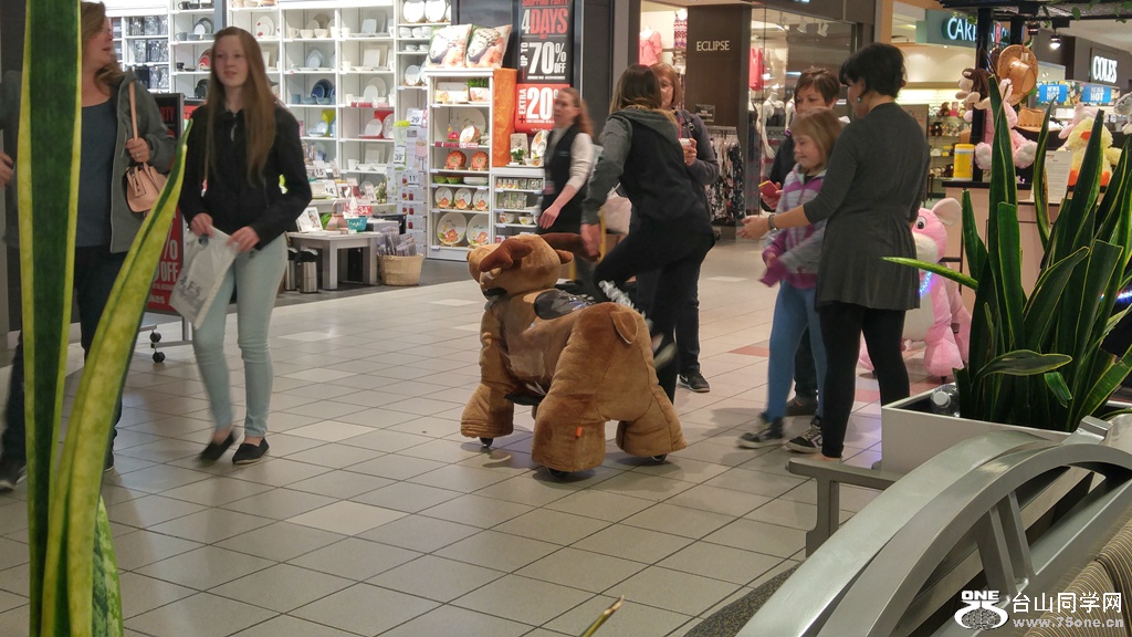 20160423_132455_HDR.jpg
