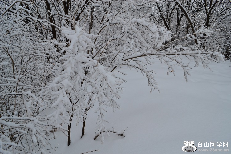 DSC_0123.JPG