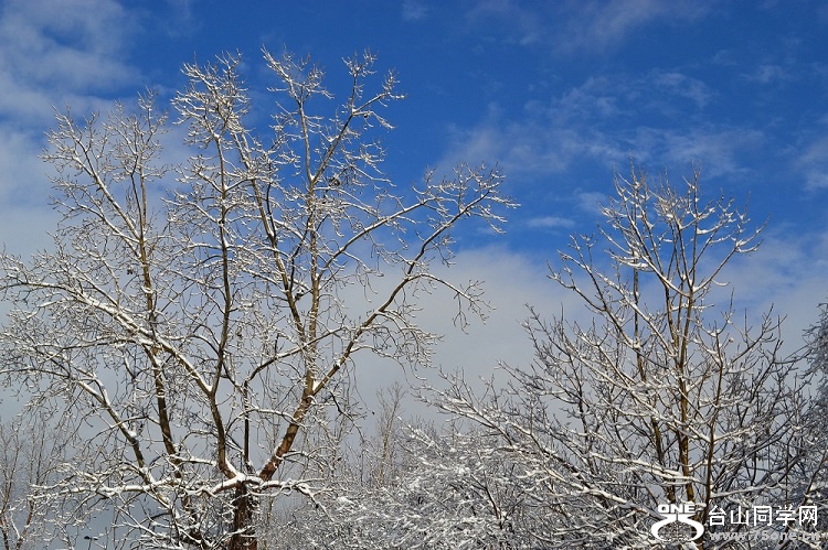 DSC_0159.JPG