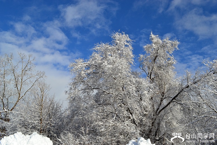 DSC_0161.JPG