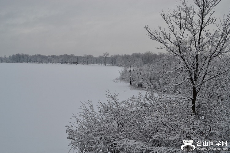 DSC_0139.JPG