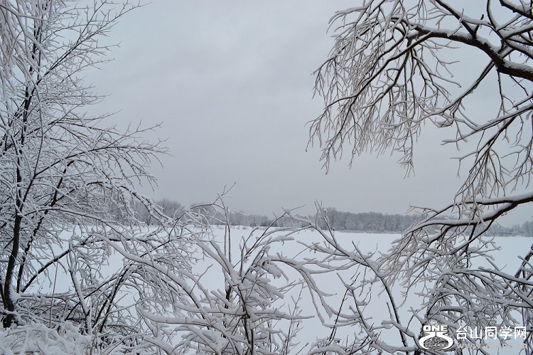 DSC_0141.JPG