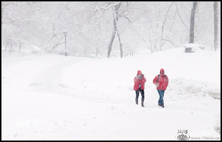 DSC_0423.jpg