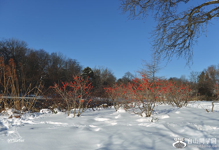 DSC_21468.jpg