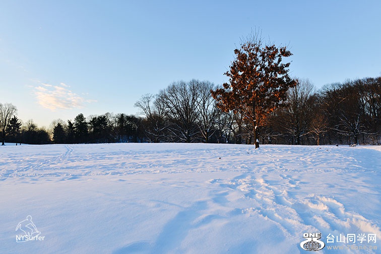 DSC_21049.jpg