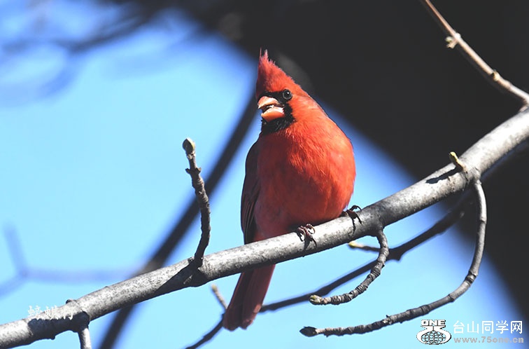DSC_00123304.jpg