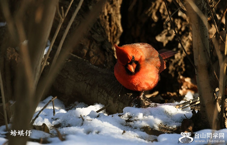 DSC_00123309.jpg