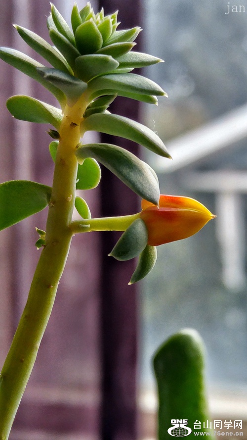 20161119_112216_HDR~2.jpg