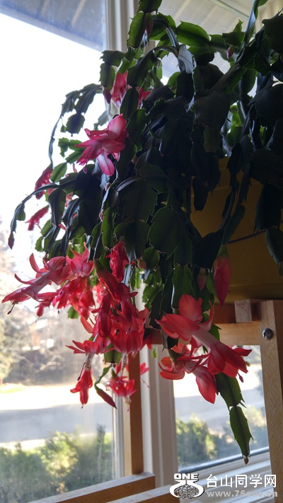 20161110_140650_HDR.jpg