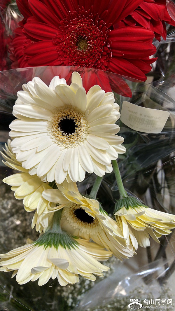 20161106_203153_HDR.jpg