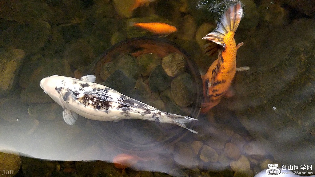 20161112_100640_HDR.jpg