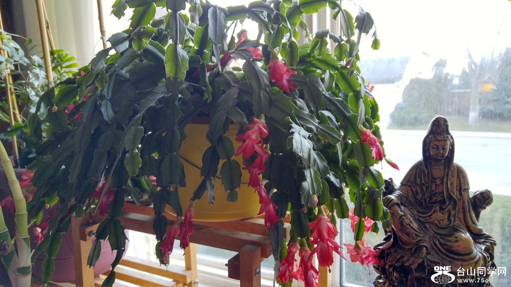 20161113_092344_HDR.jpg