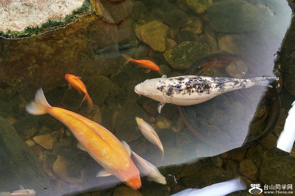 20161112_100948_HDR.jpg
