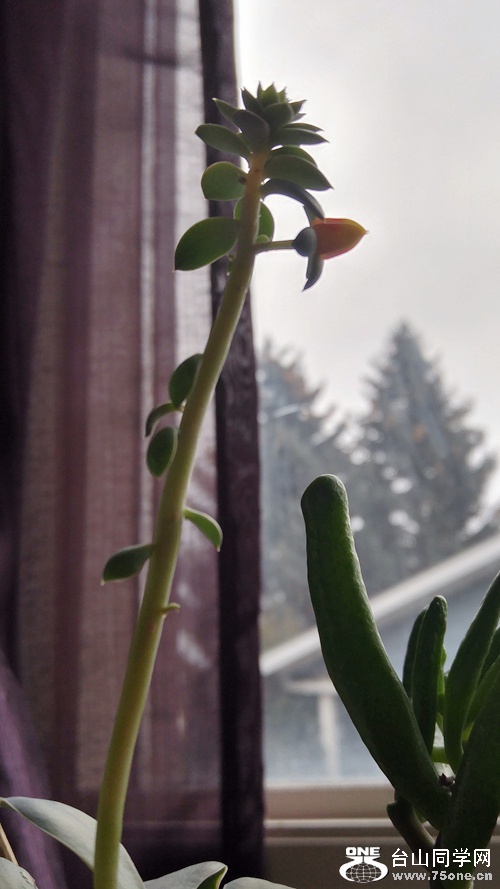 20161119_112301_HDR.jpg