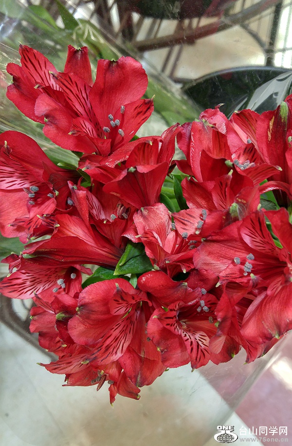 20161106_203200_HDR.jpg