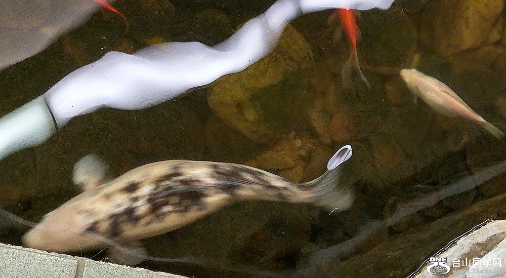 20161112_101012_HDR.jpg