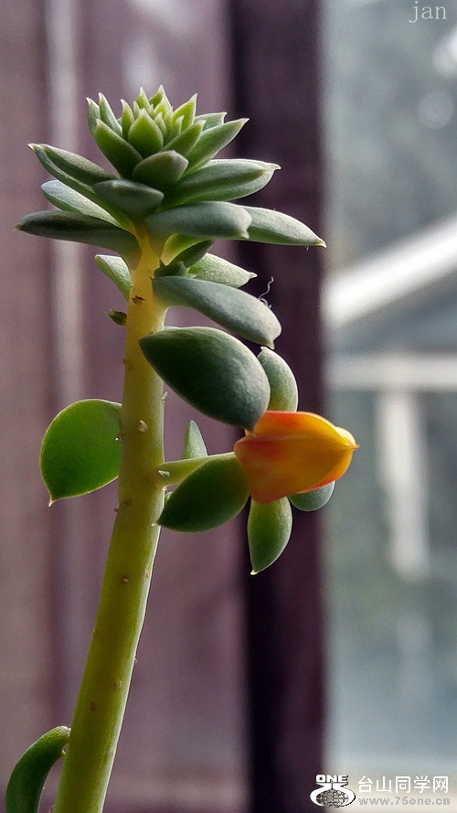 20161119_112353_HDR.jpg