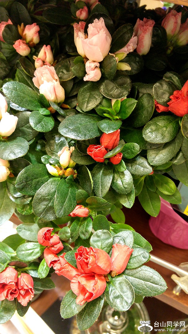 20161106_203146_HDR.jpg