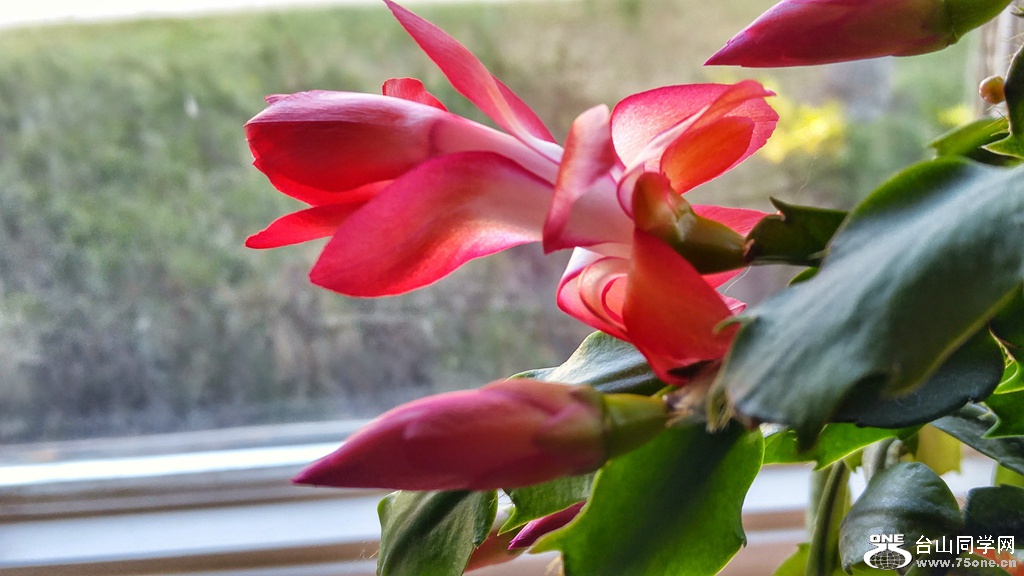 20161112_153408_HDR~2.jpg