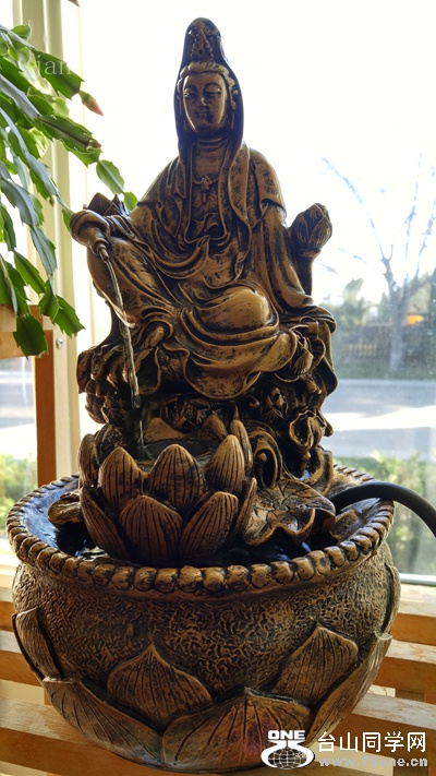 20161111_105631_HDR.jpg