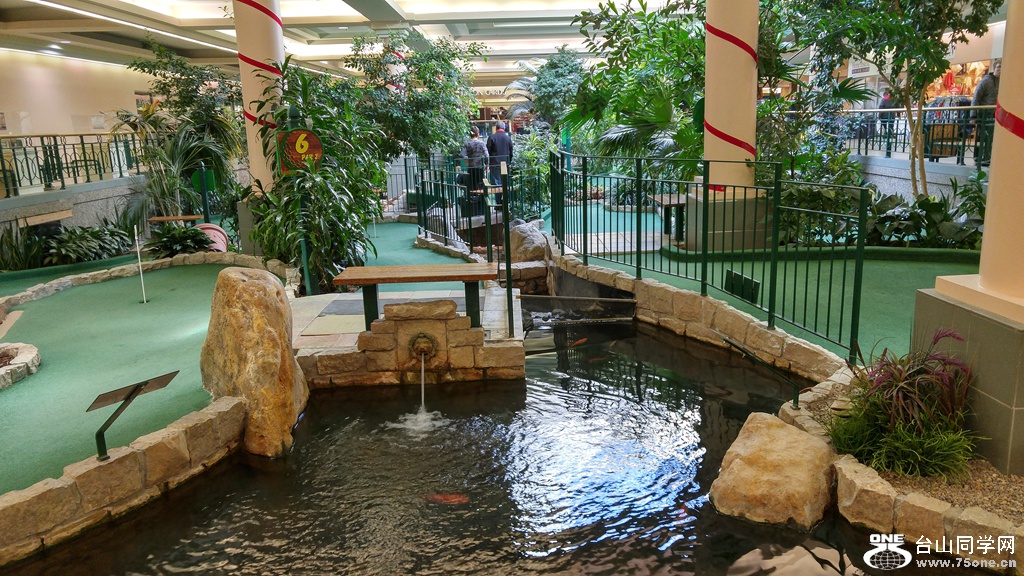 20161112_101036_HDR.jpg