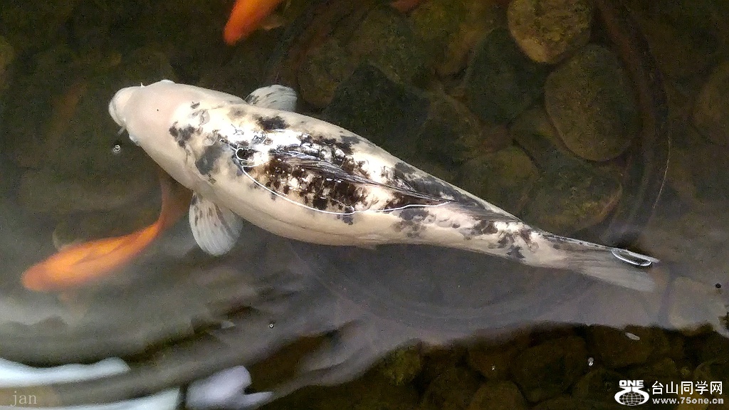 20161112_100658_HDR.jpg