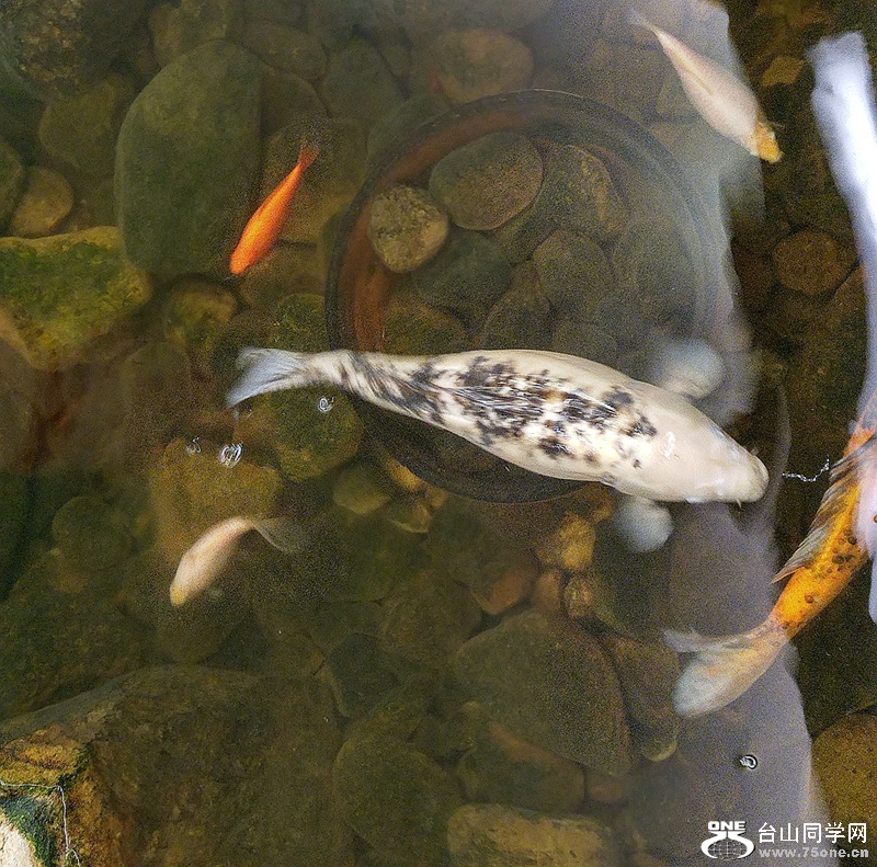 20161112_101118_HDR.jpg