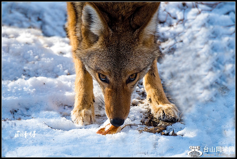 _DSC3757.jpg