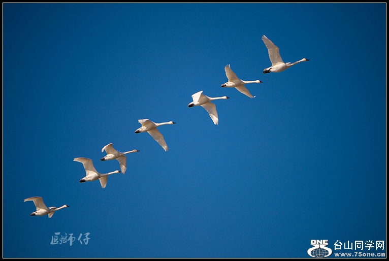 DSC_5796.jpga.jpg