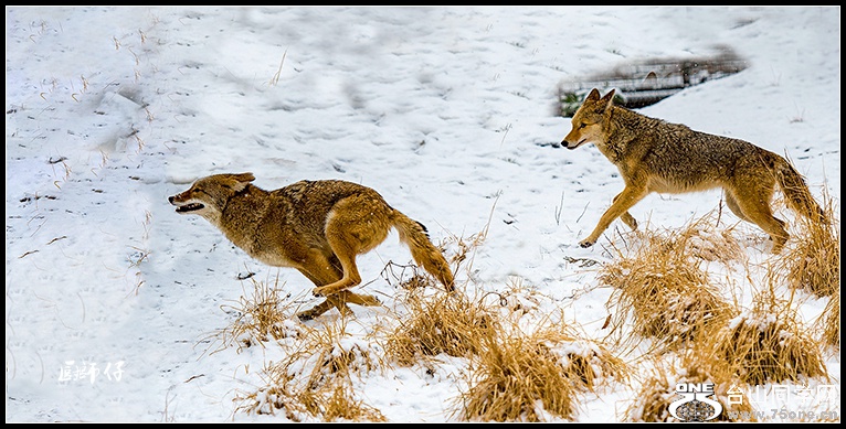 _DSC8190.jpg1.jpg