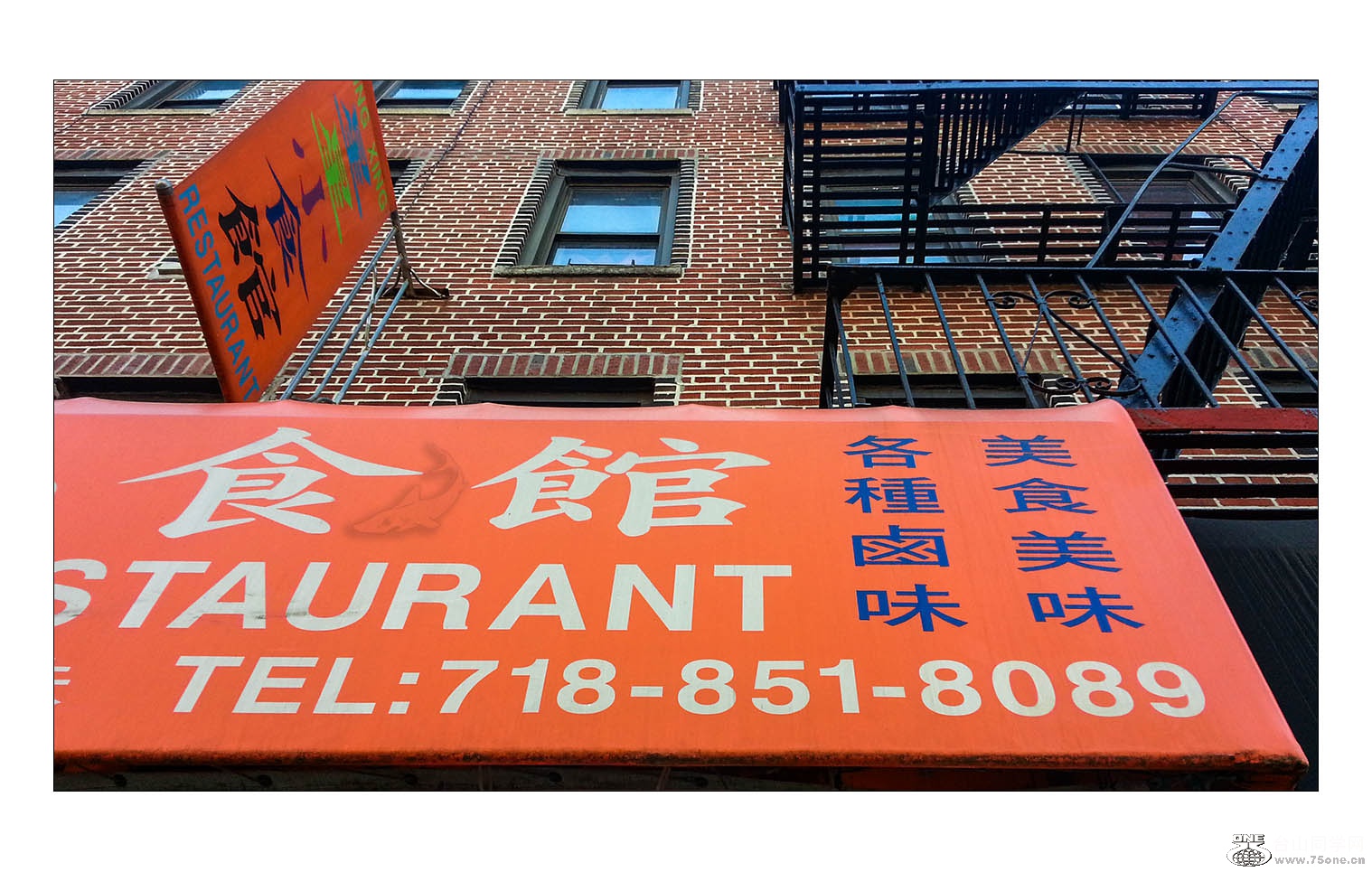 microMsg.1445824892926.jpg
