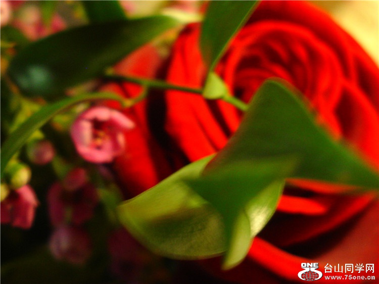 DSC08469.JPG
