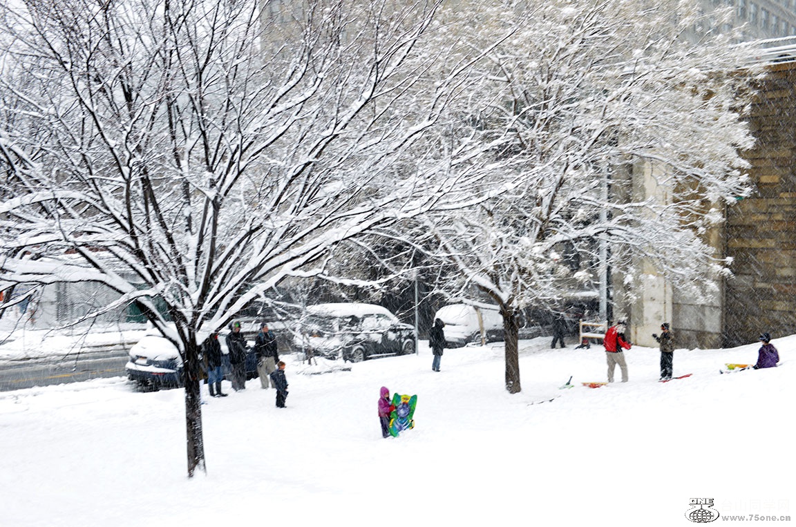 DSC_71679.jpg