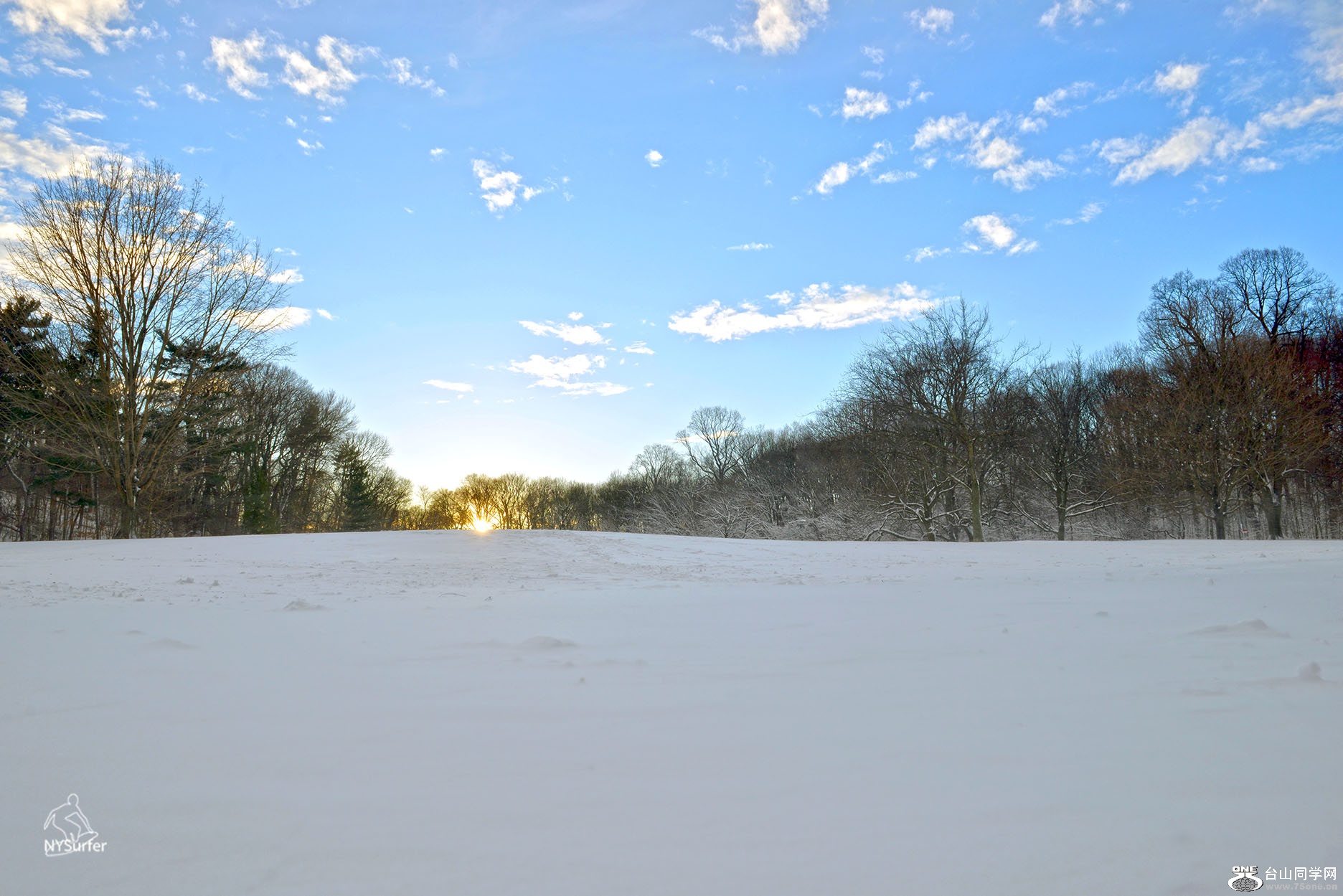 DSC_81597.jpg