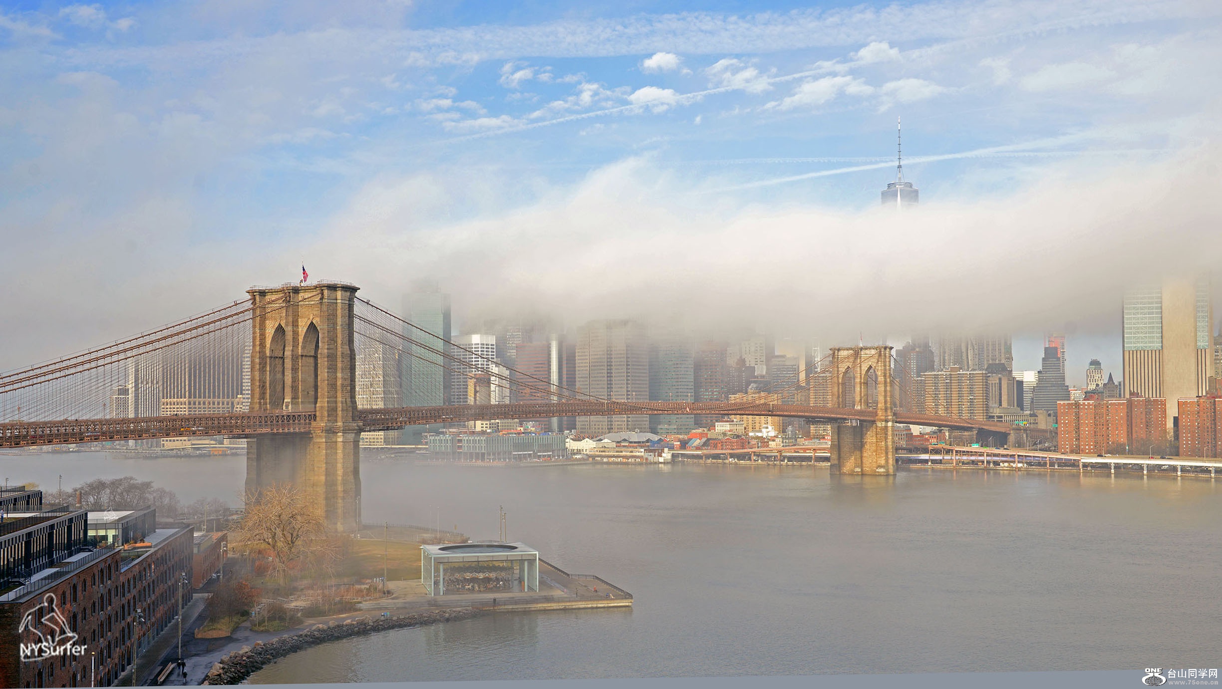 DSC_91748.jpg