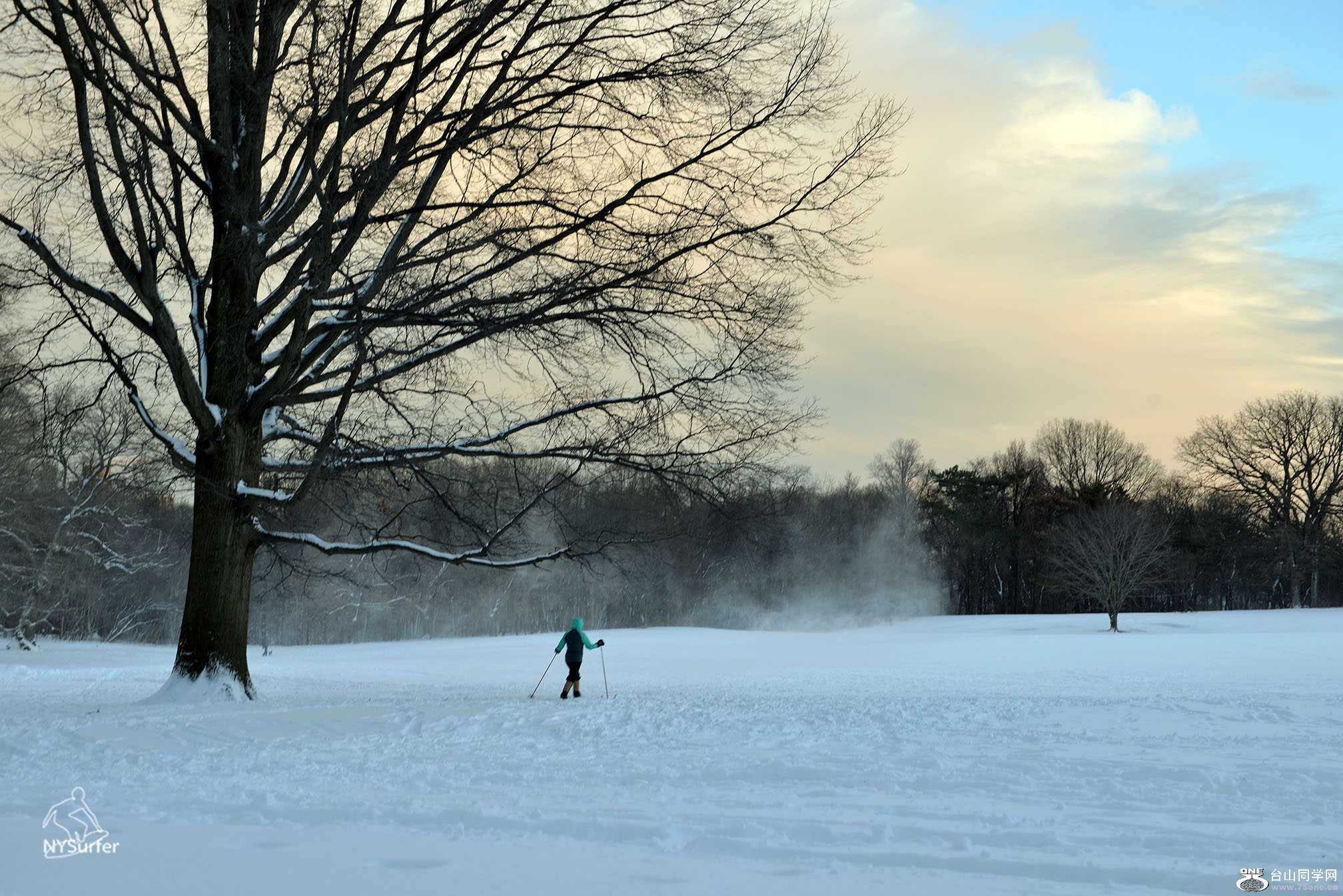 DSC_81709.jpg