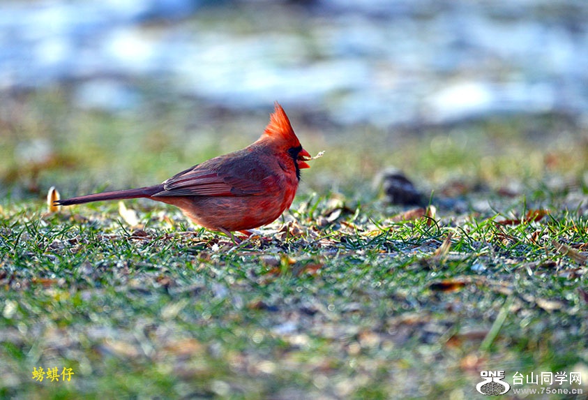 DSC_001233505.jpg