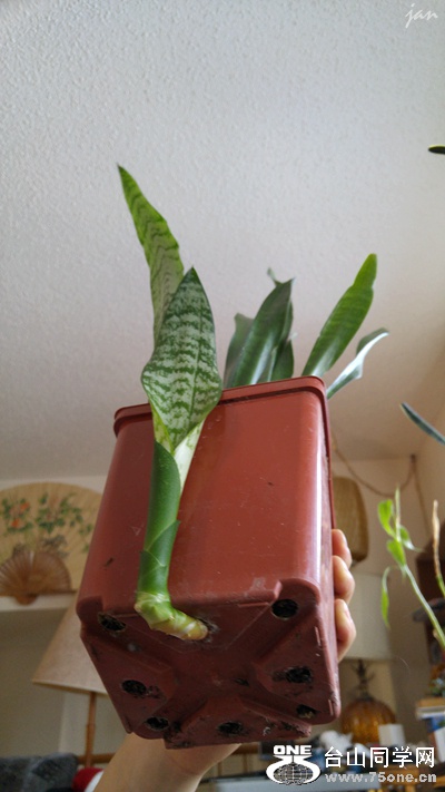 20170215_161126_HDR.jpg