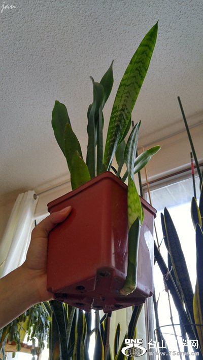 20170215_161112_HDR.jpg