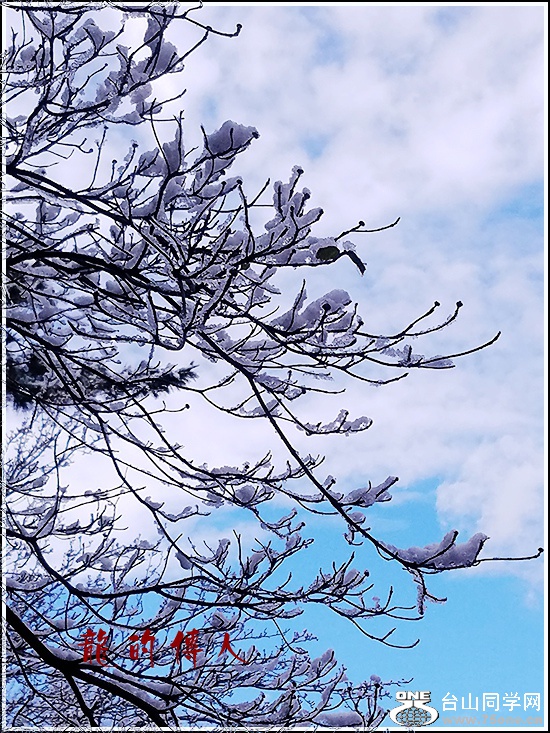 20170310_143927_.jpg