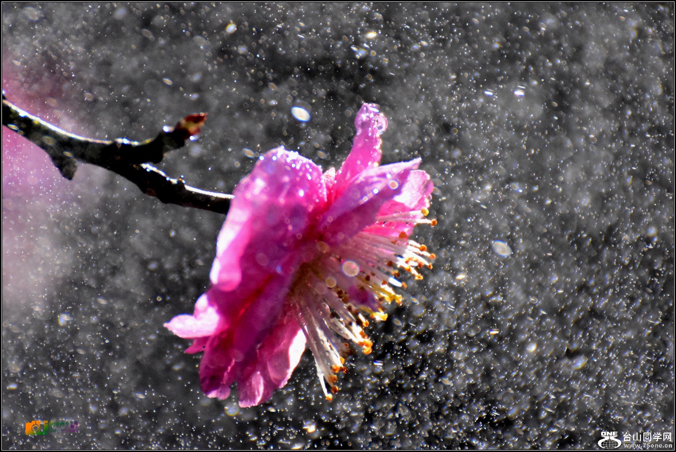 DSC_4829_.jpg