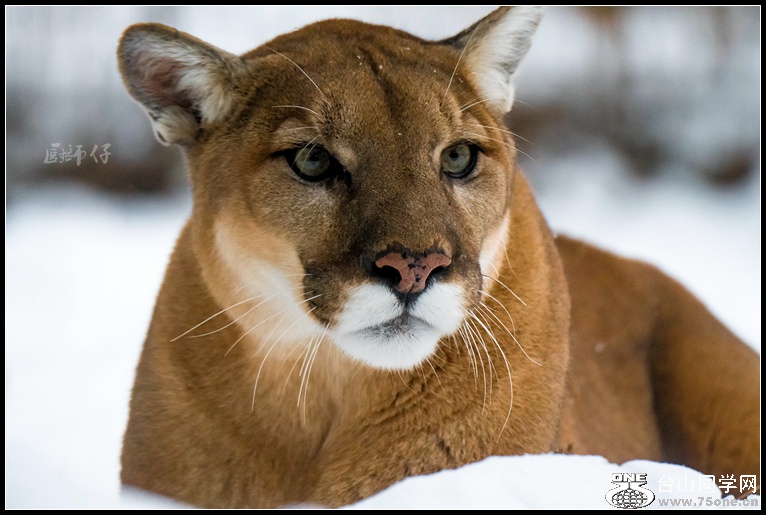 _DSC5977_.jpg