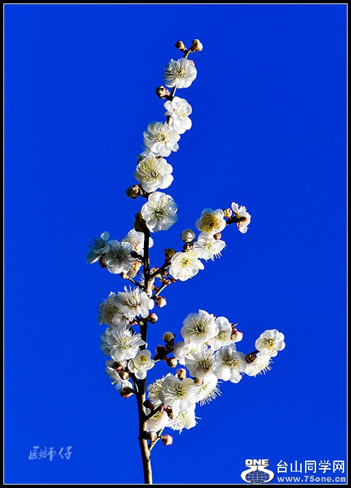 _DSC9756.jpg