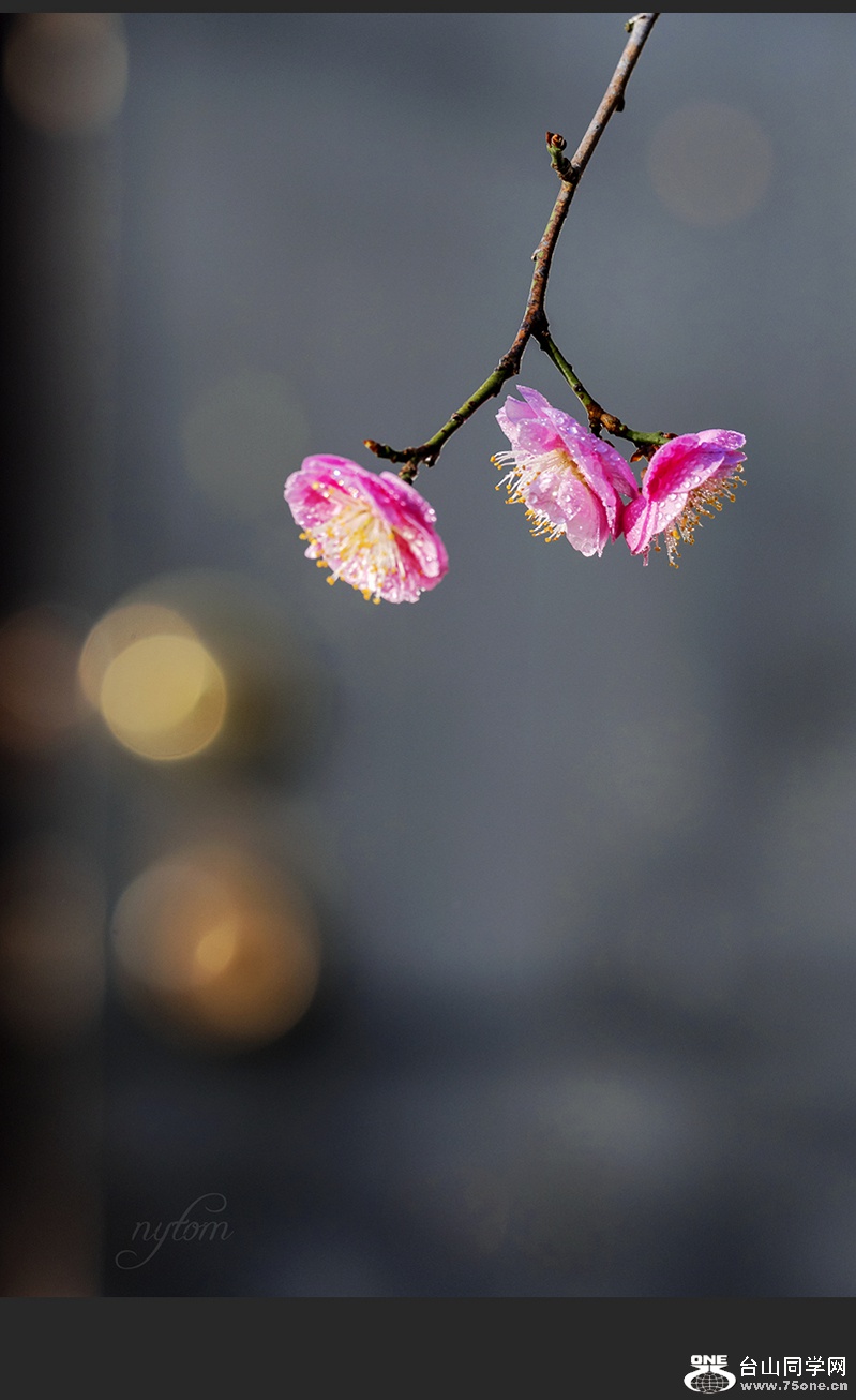 DSC_3864_.jpg
