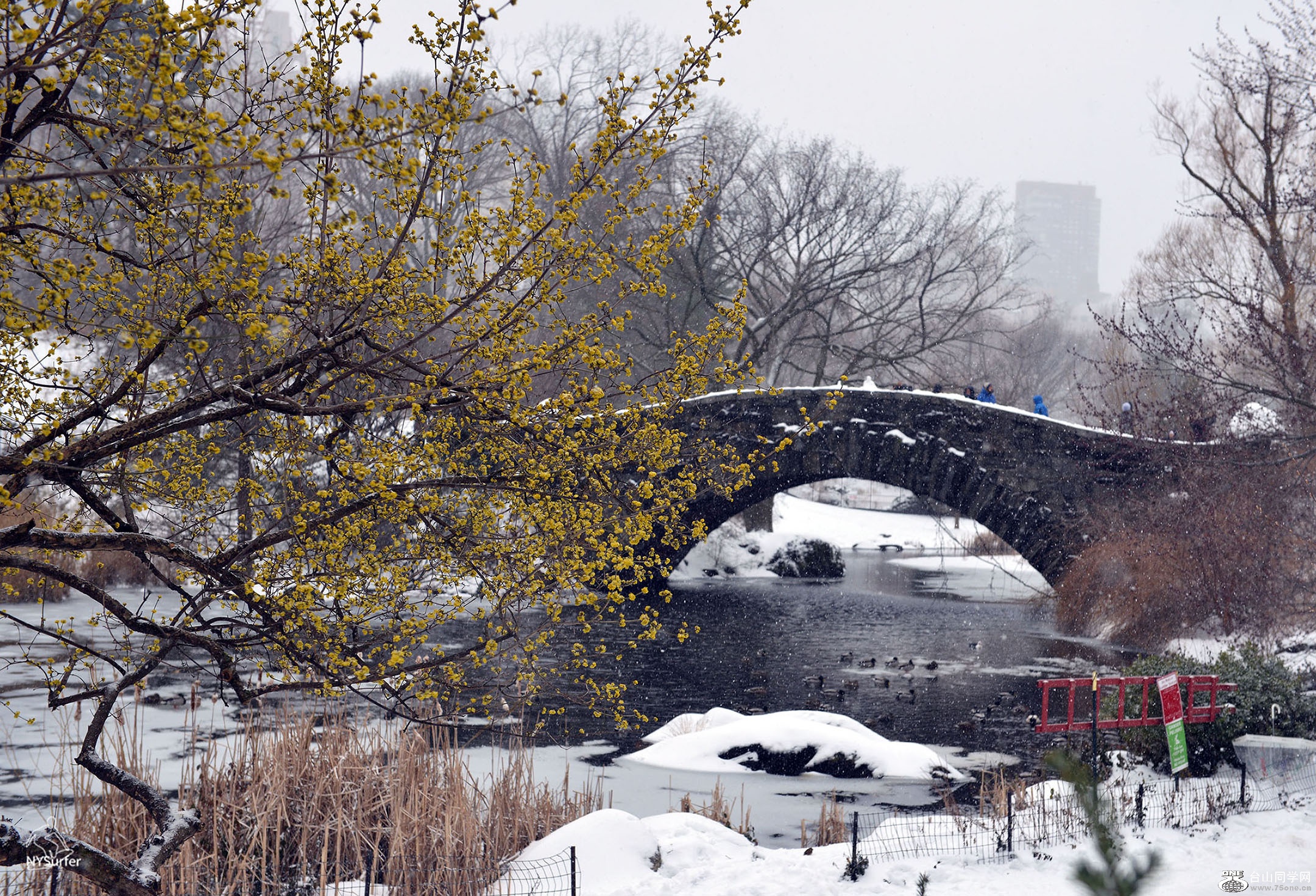 DSC_01672.jpg