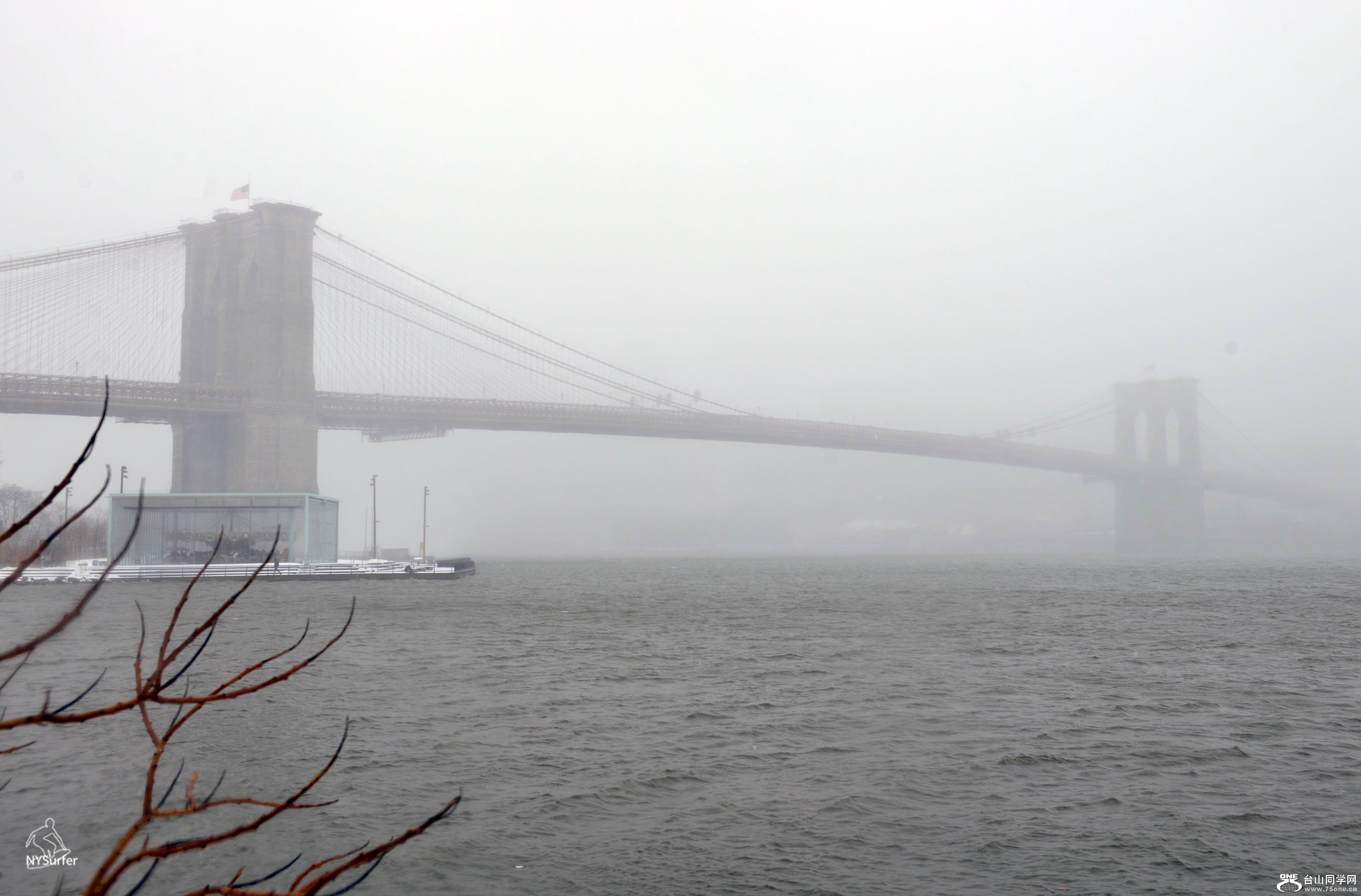 DSC_01319.jpg